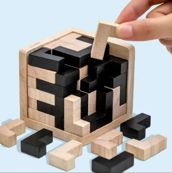 Mind Bender Cube Educational Wooden Puzzle