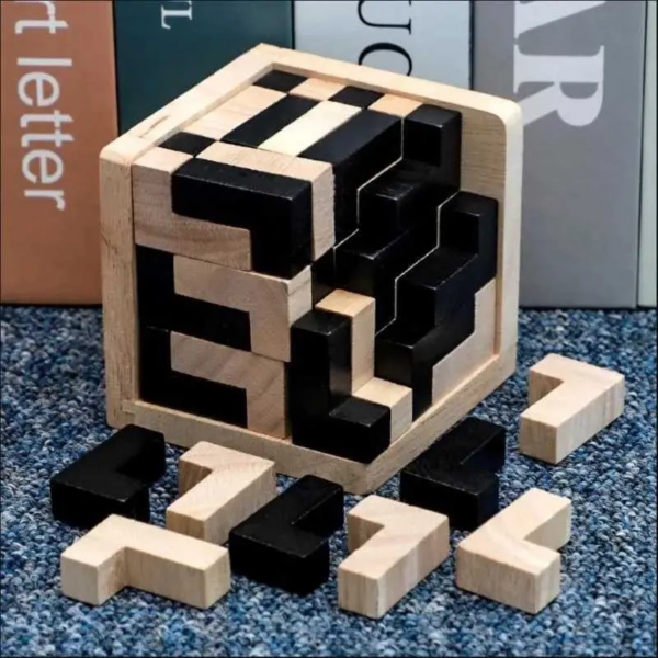 Mind Bender Cube Educational Wooden Puzzle